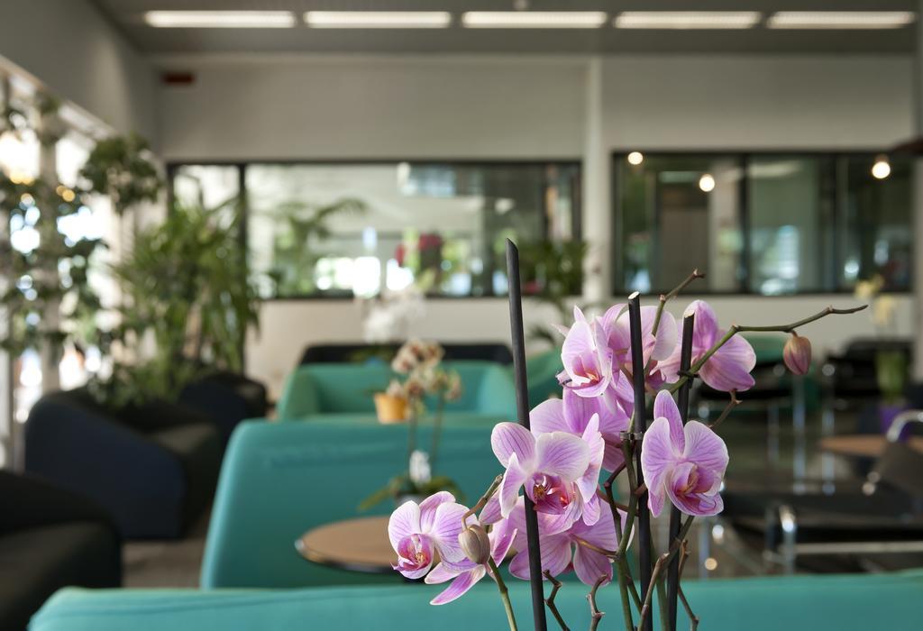 Hotel Cormoran Cattolica Dış mekan fotoğraf