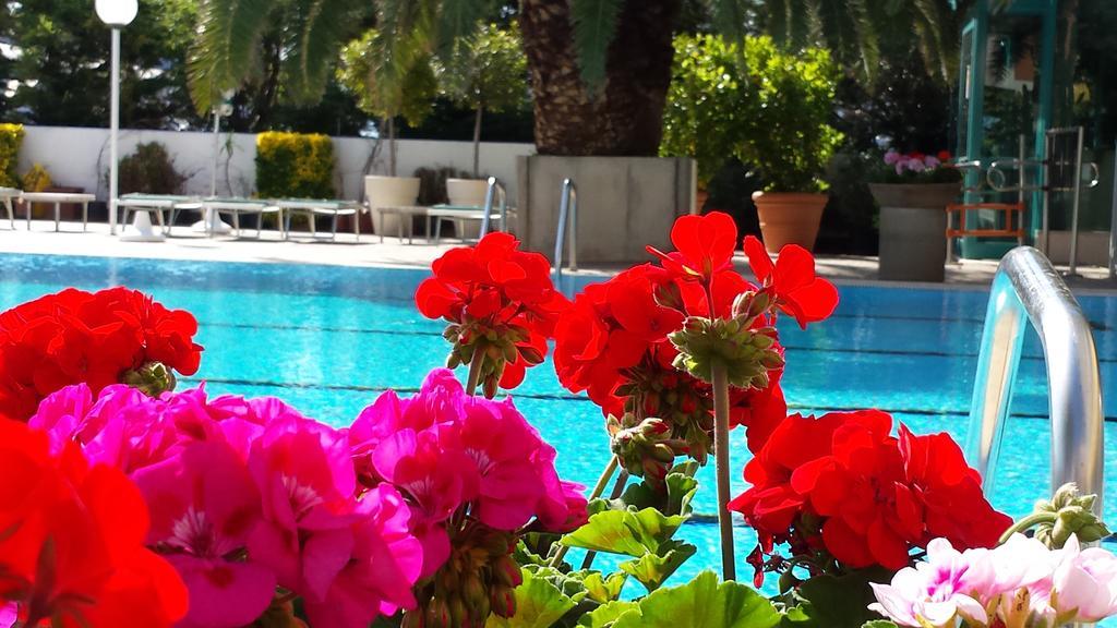 Hotel Cormoran Cattolica Dış mekan fotoğraf
