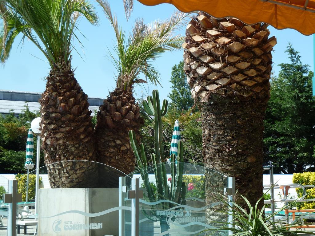 Hotel Cormoran Cattolica Dış mekan fotoğraf